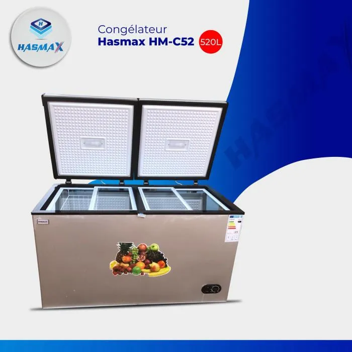 Congélateur Horizontal Hasmax HM-C52 | 520 Litres | Grand Coffre | Double Abattant